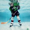 hockey sur glace aquatique